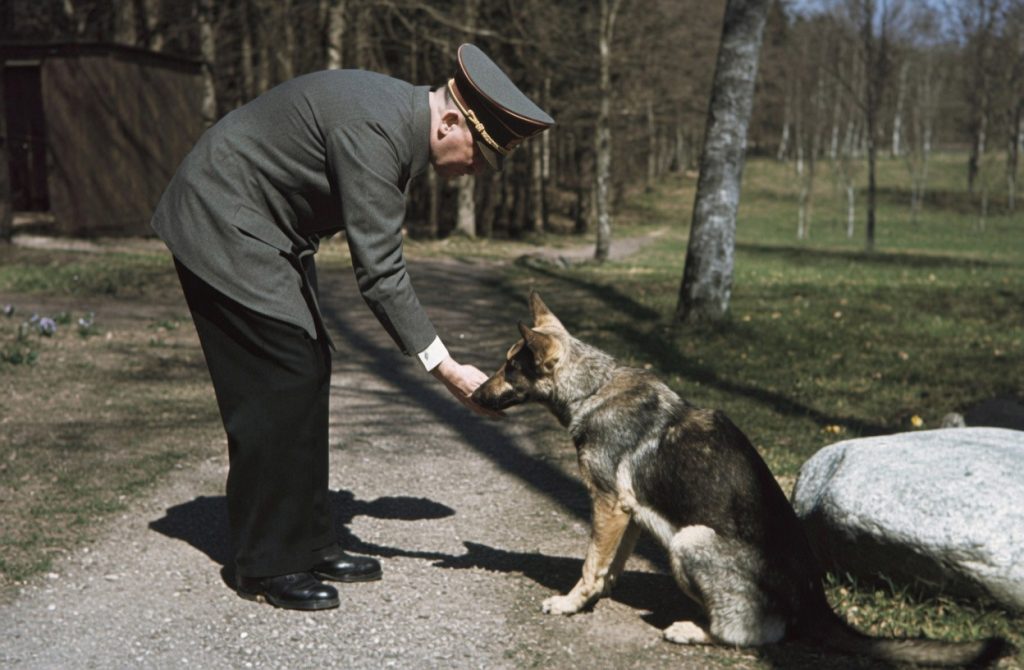 Adolf Hitler i pies Blondi w Wilczym Szańcu